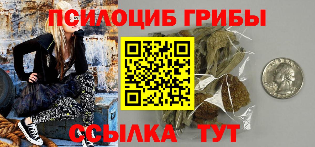 Елабуга  Галлюциногенные грибы мицелий  Вход с VPN 